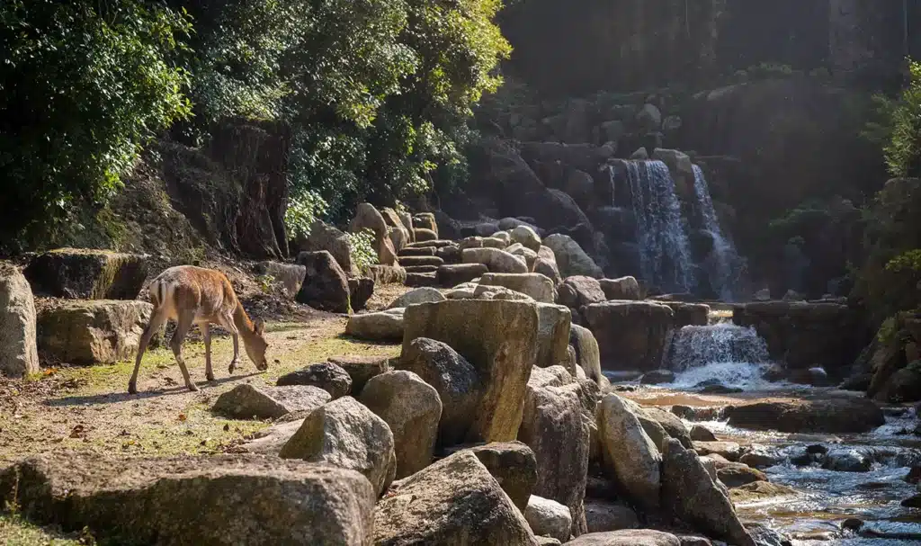 El Bioparc es de los 10 lugares que visitar en Valencia, España