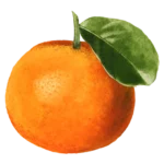 Recomendaciones de Restaurantes en Valencia , España